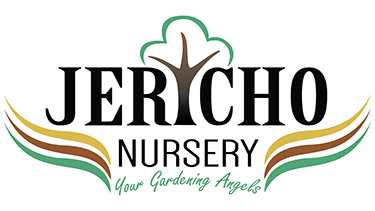 Jericho Nursery | old Home Page Jericho Nursery | old Home Page