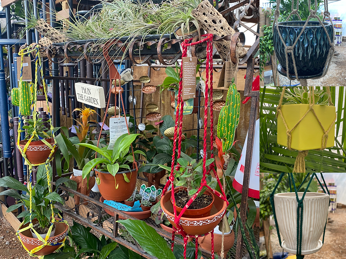 Jericho Nursery | Now is the TIME to get AHEAD…