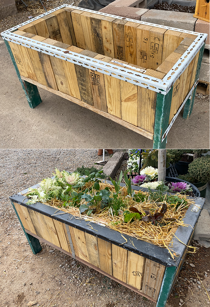 Jericho Nursery | The Most Important Question…