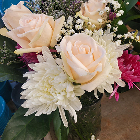 Jericho Nursery | Happy Valentine’s Day! Jericho Nursery | Happy Valentine’s Day!