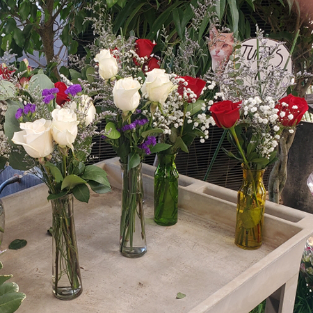 Jericho Nursery | Happy Valentine’s Day! Jericho Nursery | Happy Valentine’s Day!