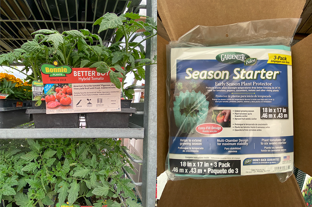 Jericho Nursery | The Most Important Question…