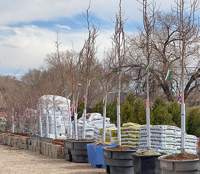 Jericho Nursery | The Most Important Question…