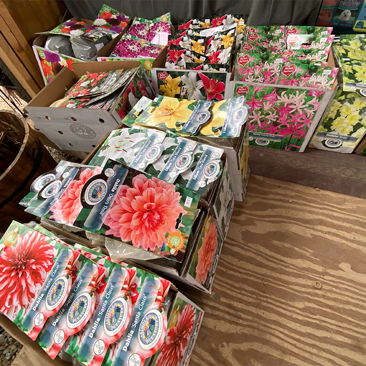 Jericho Nursery | The Most Important Question…