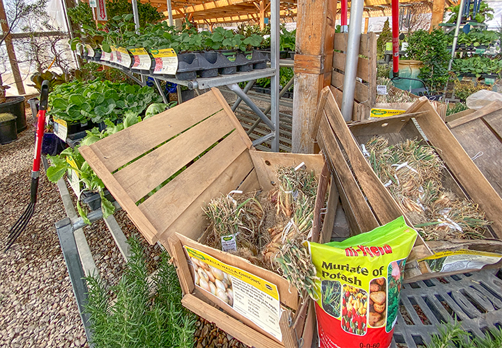 Jericho Nursery | The Most Important Question…