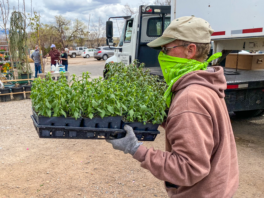 Jericho Nursery | Going Mobile