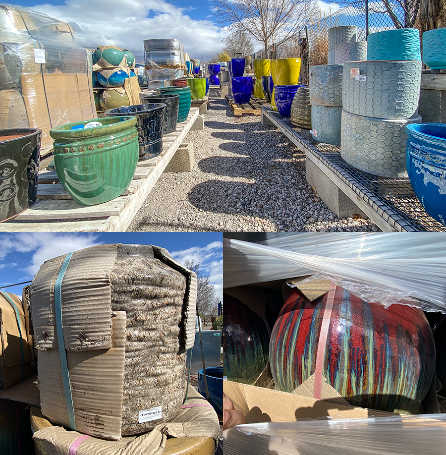 Jericho Nursery | Fruit Tree & Rose News