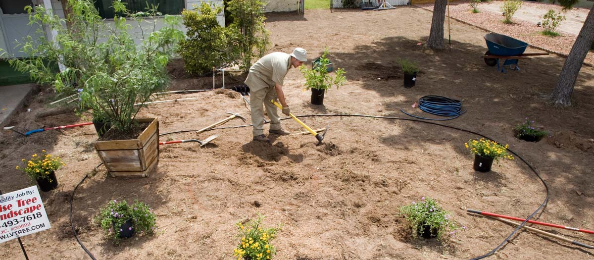 Jericho Nursery | Inoculation Time… not what you’re thinking. Jericho Nursery | Inoculation Time… not what you’re thinking.