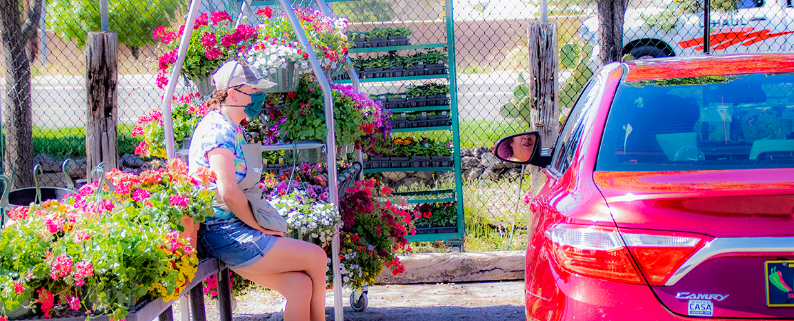 Jericho Nursery | What’s different this year? Jericho Nursery | What’s different this year?