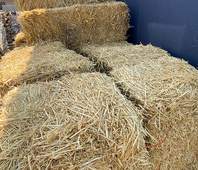 Jericho Nursery | Mulch to tell you about this week… Jericho Nursery | Mulch to tell you about this week…