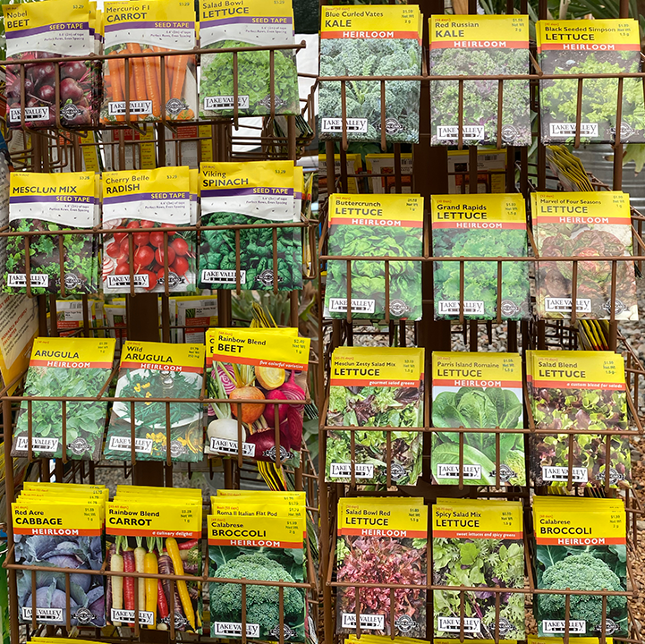 Jericho Nursery | Don’t get bored… Jericho Nursery | Don’t get bored…