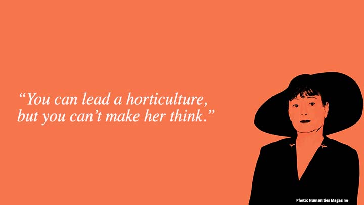 Jericho Nursery | “You can lead a horticulture…” Jericho Nursery | “You can lead a horticulture…”