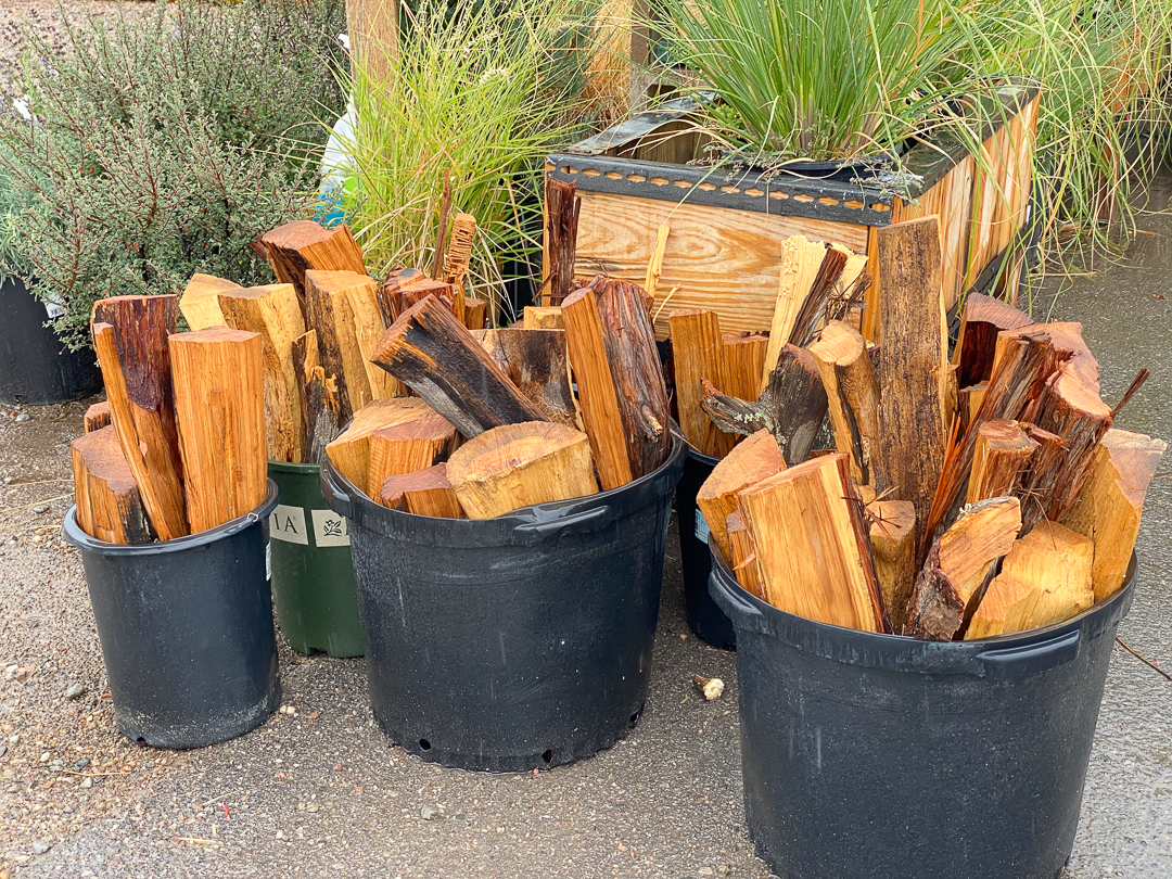Jericho Nursery | Fall is for planting… and we TRIPLE guarantee it! Jericho Nursery | Fall is for planting… and we TRIPLE guarantee it!