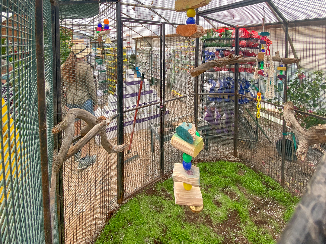 Jericho Nursery | From Peperomias to Philodendrons Jericho Nursery | From Peperomias to Philodendrons