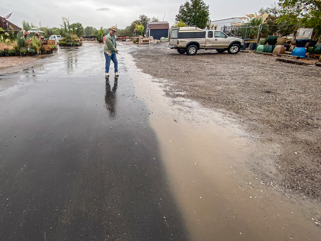 Jericho Nursery | Fall is for planting… and we TRIPLE guarantee it! Jericho Nursery | Fall is for planting… and we TRIPLE guarantee it!