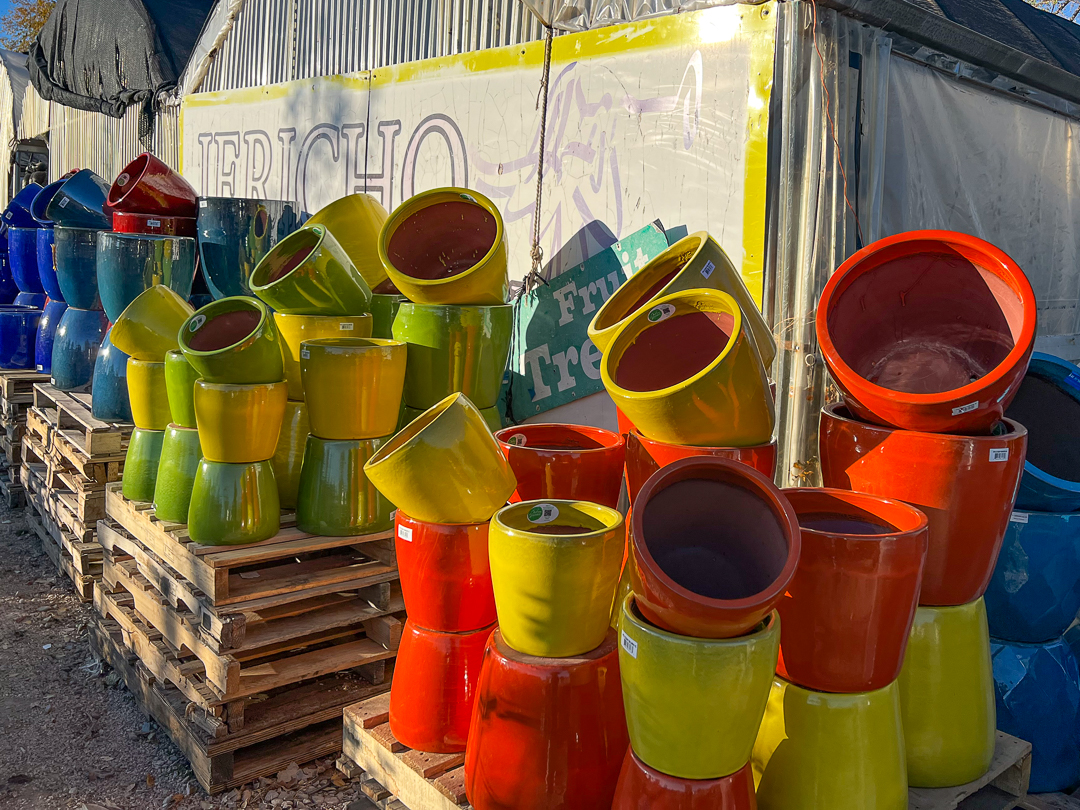 Jericho Nursery | Come See the Beautiful NEW…. Jericho Nursery | Come See the Beautiful NEW….