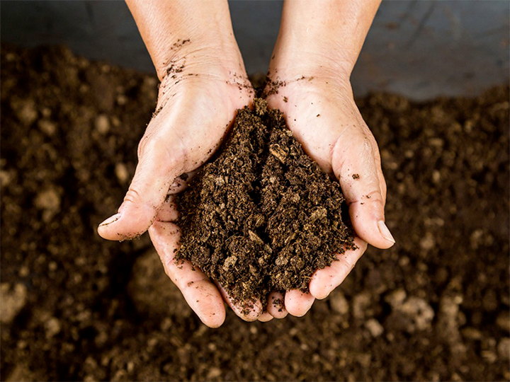 Jericho Nursery | For Peat’s Sake Jericho Nursery | For Peat’s Sake
