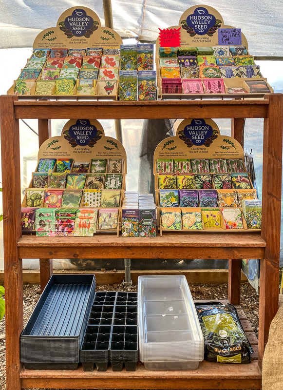 Jericho Nursery | old Home Page Jericho Nursery | old Home Page