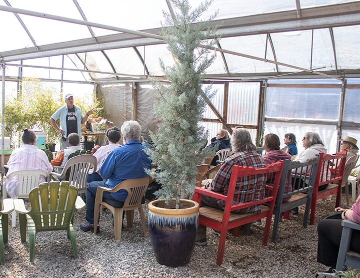 Jericho Nursery | Answers Jericho Nursery | Answers