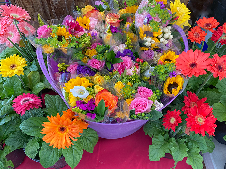 Jericho Nursery | Spring has SPRUNG! Jericho Nursery | Spring has SPRUNG!