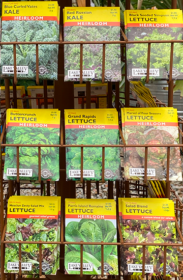Jericho Nursery | SOME like it HOT! Jericho Nursery | SOME like it HOT!