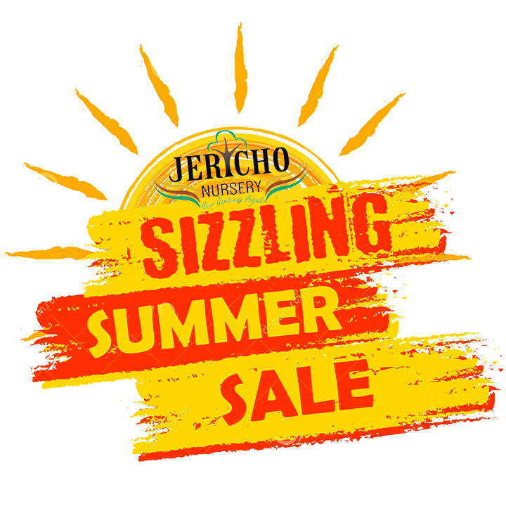 Jericho Nursery | SOME like it HOT! Jericho Nursery | SOME like it HOT!