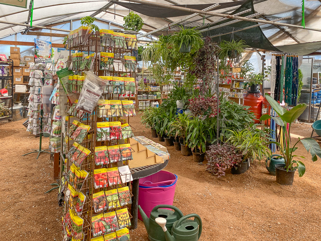 Jericho Nursery | How do you like your COLOR? Jericho Nursery | How do you like your COLOR?