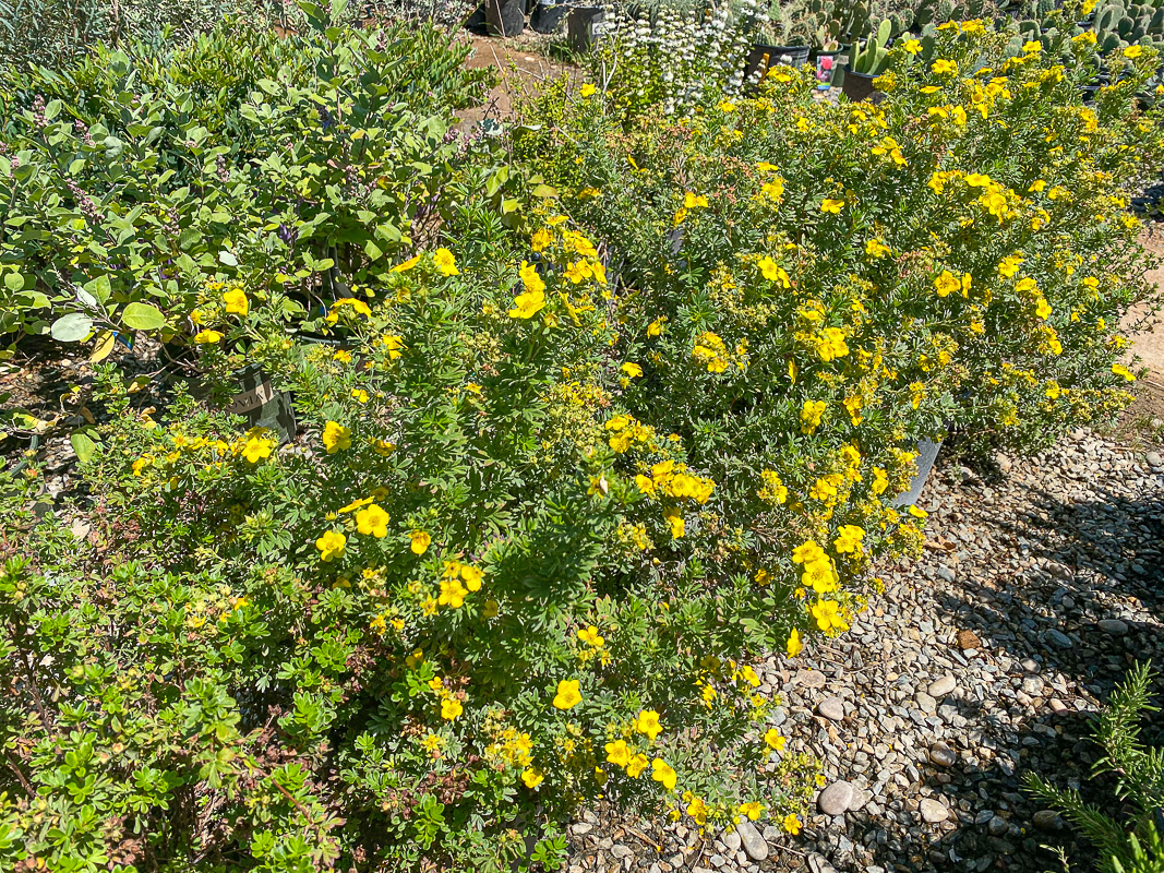 Jericho Nursery | As busy as… Jericho Nursery | As busy as…