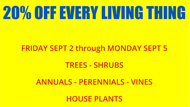 Jericho Nursery | How do you like your COLOR? Jericho Nursery | How do you like your COLOR?