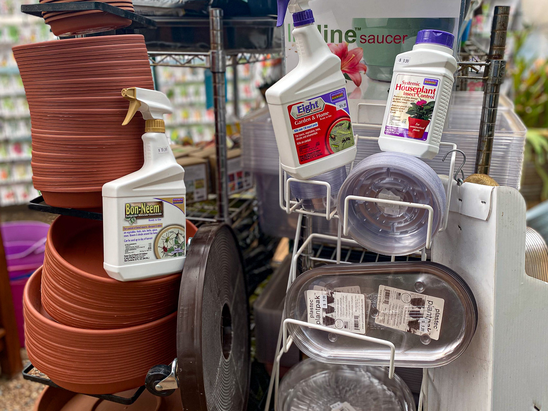 Jericho Nursery | Getting SERIOUS now… COLOR and SAVINGS!