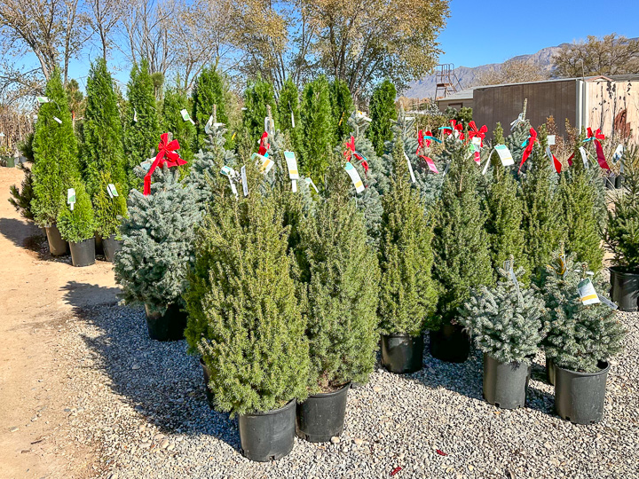 Jericho Nursery | Cold is the new Warm. Jericho Nursery | Cold is the new Warm.