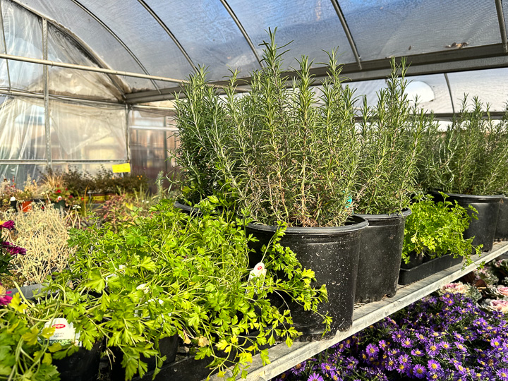 Jericho Nursery | Cold is the new Warm. Jericho Nursery | Cold is the new Warm.
