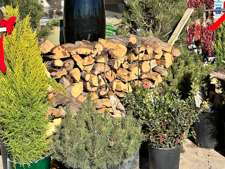Jericho Nursery | Cold is the new Warm. Jericho Nursery | Cold is the new Warm.