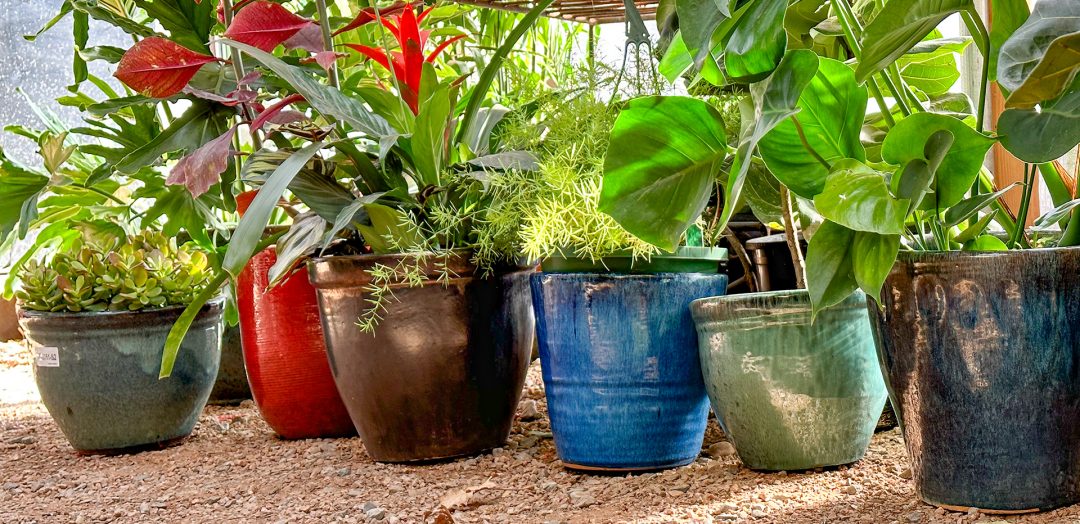 Jericho Nursery | It’s not cheating. It’s just REALLY EASY… Jericho Nursery | It’s not cheating. It’s just REALLY EASY…
