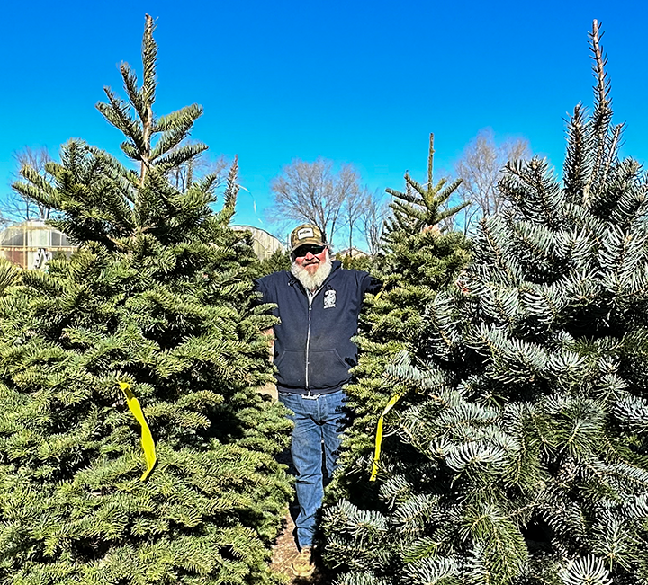 Jericho Nursery | Trees-Wreaths-Bloomers Jericho Nursery | Trees-Wreaths-Bloomers