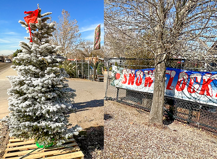 Jericho Nursery | Let’s tie one on! Jericho Nursery | Let’s tie one on!