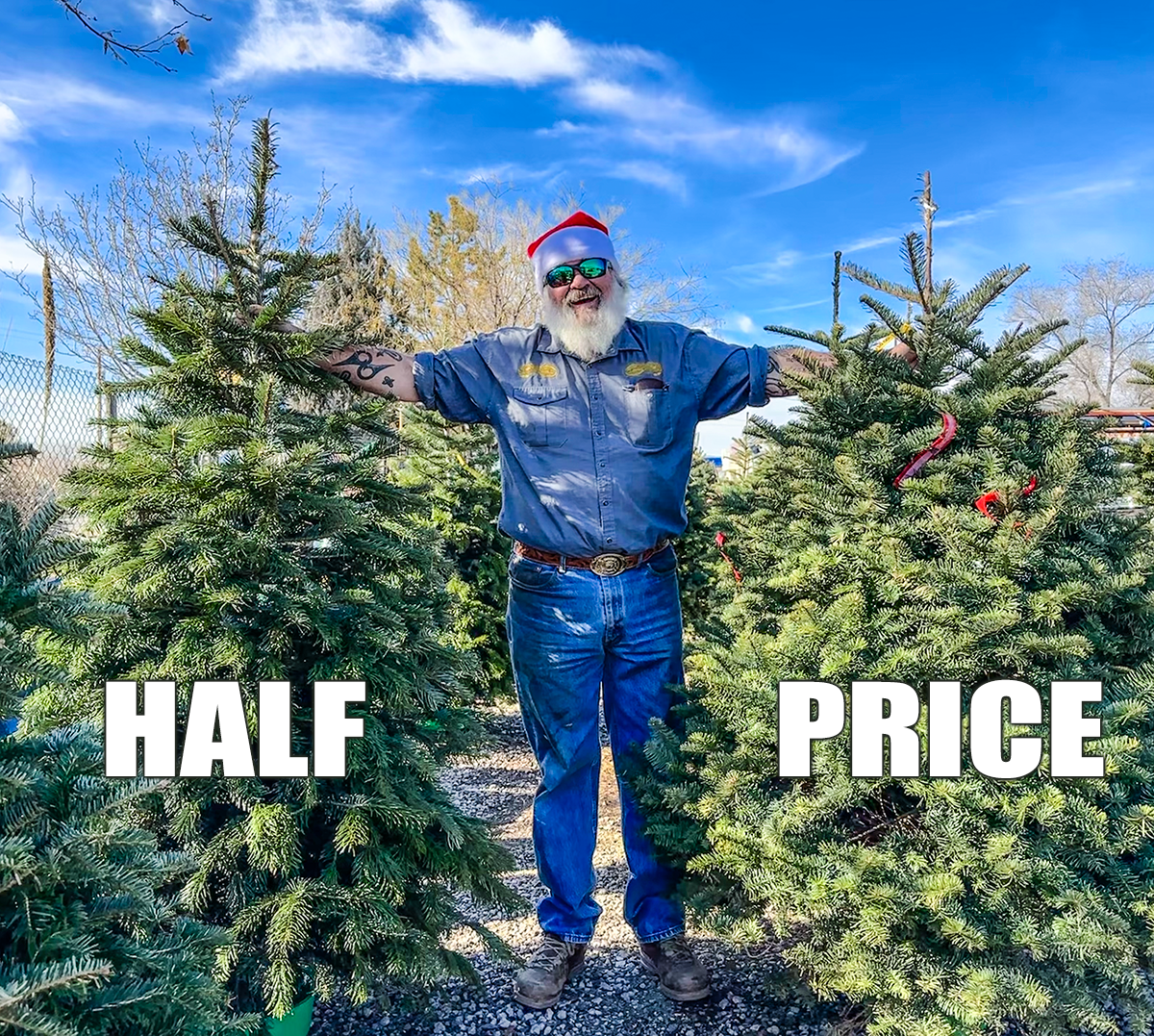 Jericho Nursery | Ho Ho Ho, just a FEW MORE TO GO!