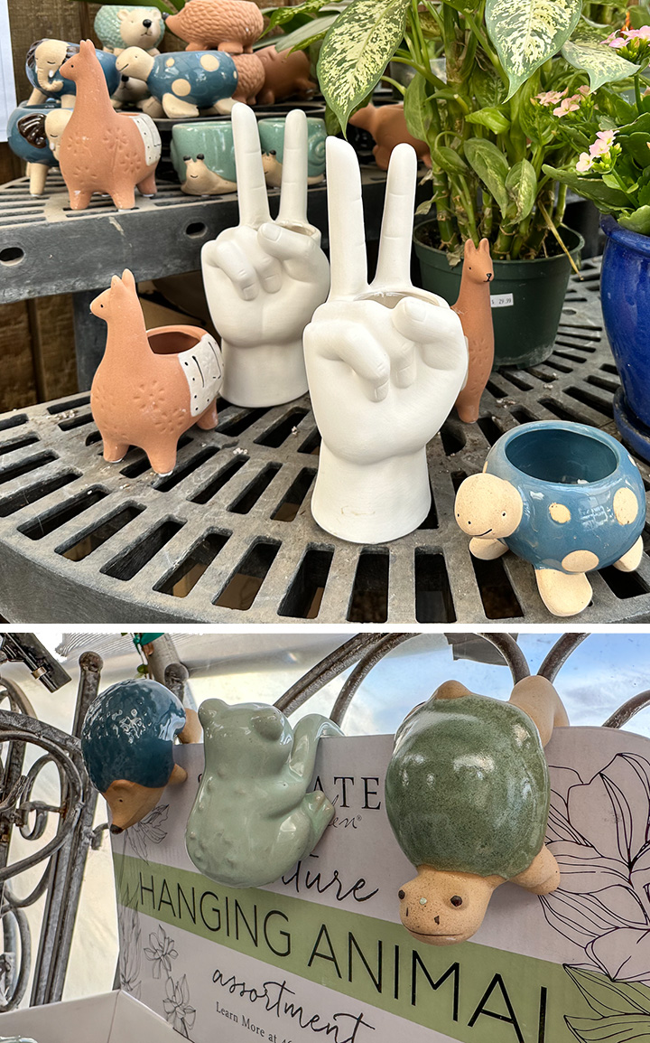 Jericho Nursery | Pruning Time… Pruning Seminar (SOLD OUT) tomorrow and a great day for browsing new arrivals.