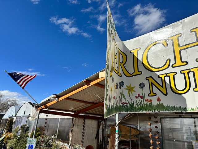 Jericho Nursery | LOOK what the SQUALL blew in!