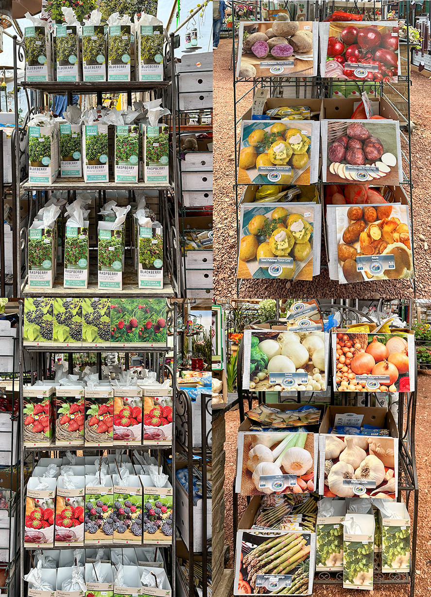 Jericho Nursery | Flags ‘a Flying – and We Keep on Buying Jericho Nursery | Flags ‘a Flying – and We Keep on Buying
