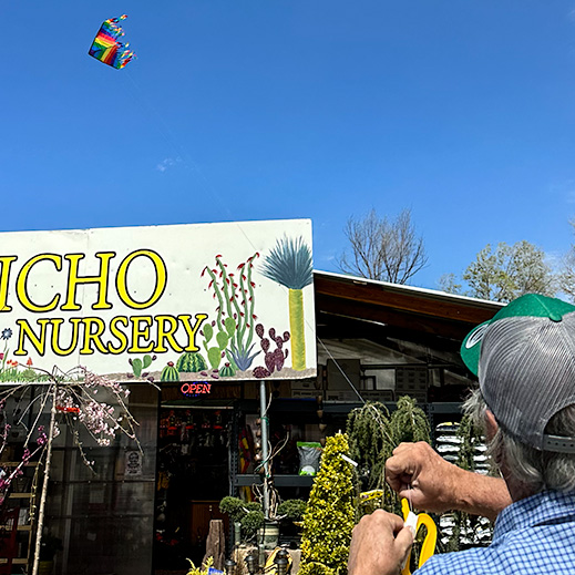 Jericho Nursery | Come fly with us… Jericho Nursery | Come fly with us…