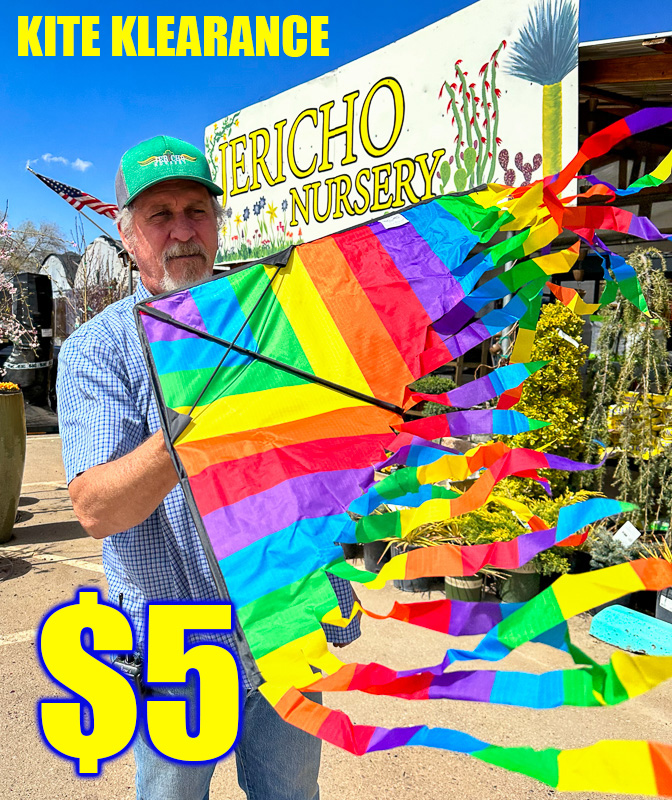 Jericho Nursery | Time to POP the patios and porches!