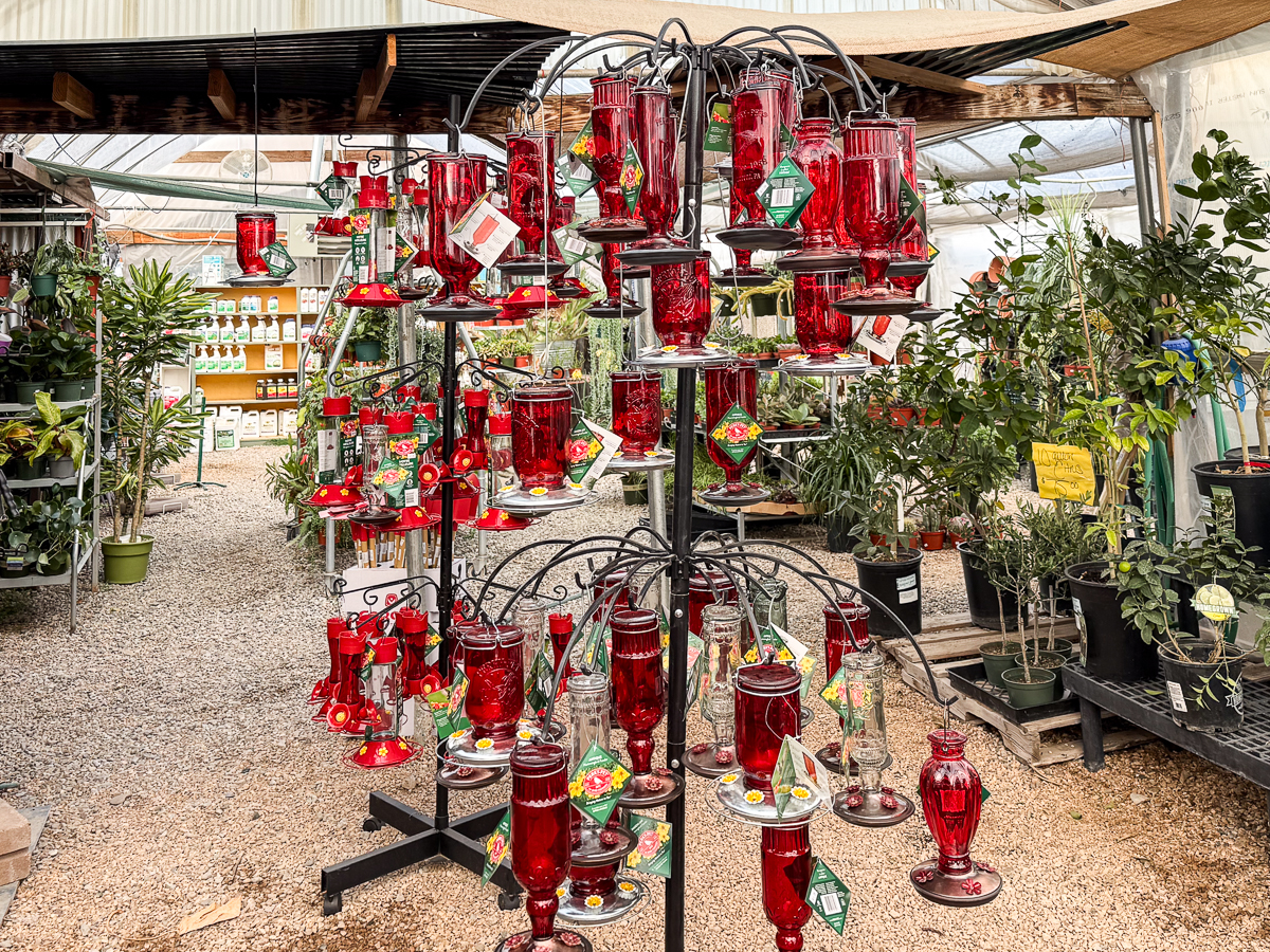 Hummingbird Feeders