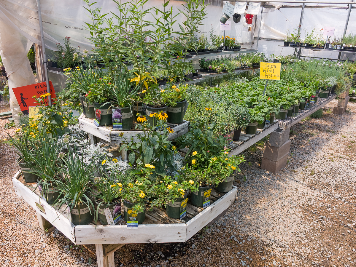 ALL PERENNIALS