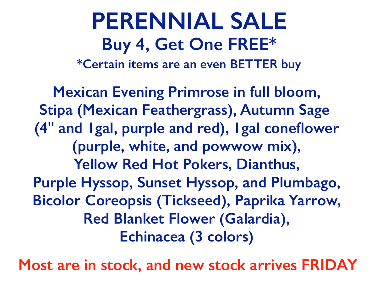 Perennial Sale